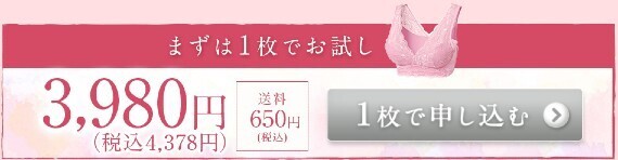 まずは1枚でお試し 3,980円（税込4,378円）